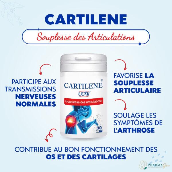 Bio Health Cartilene 30 gélules – Complément alimentaire pour articulations, glucosamine, chondroïtine et MSM pour confort et mobilité. Disponible sur PharmGo.